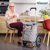 2-Andersen Shopper (R) Royal Shopper 162 Basil City grau Einkaufstrolley Wien