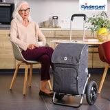 2-Andersen Shopper (R) Royal Shopper 165 Ipek Maxi anthrazit Einkaufstrolley Wien