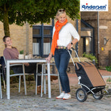 2-Andersen Shopper (R) Royal Shopper 168 Inra braun Einkaufstrolley Wien